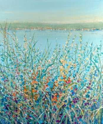 Picture of VIEWS ACROSS THE BAY I