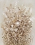 Picture of FLOURISHING II