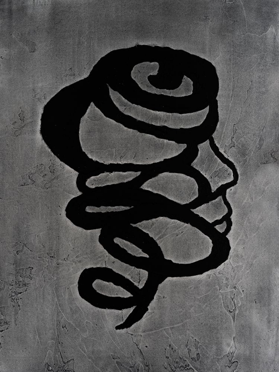 Picture of PORTRAIT COIL  IV