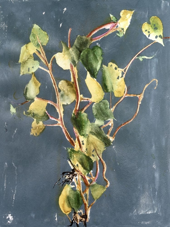 Picture of VIGOROUS VINE I