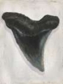 Picture of WATERCOLOR SHARKS TOOTH I
