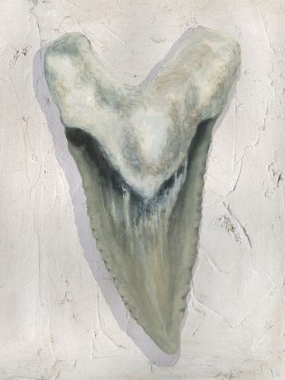 Picture of WATERCOLOR SHARKS TOOTH II
