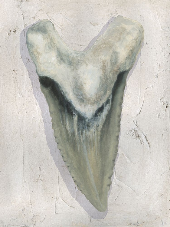 Picture of WATERCOLOR SHARKS TOOTH II