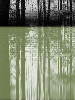 Picture of PASS THROUGH A FOREST I