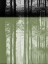 Picture of PASS THROUGH A FOREST I
