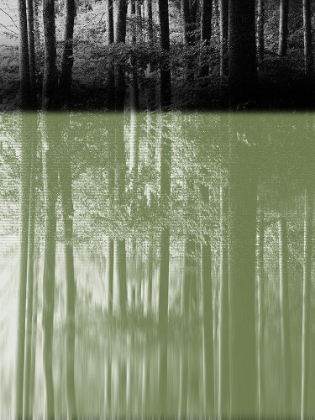 Picture of PASS THROUGH A FOREST II