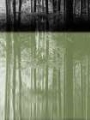 Picture of PASS THROUGH A FOREST II