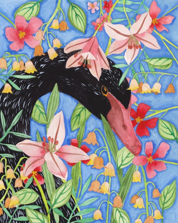 Picture of BLACK SWAN I