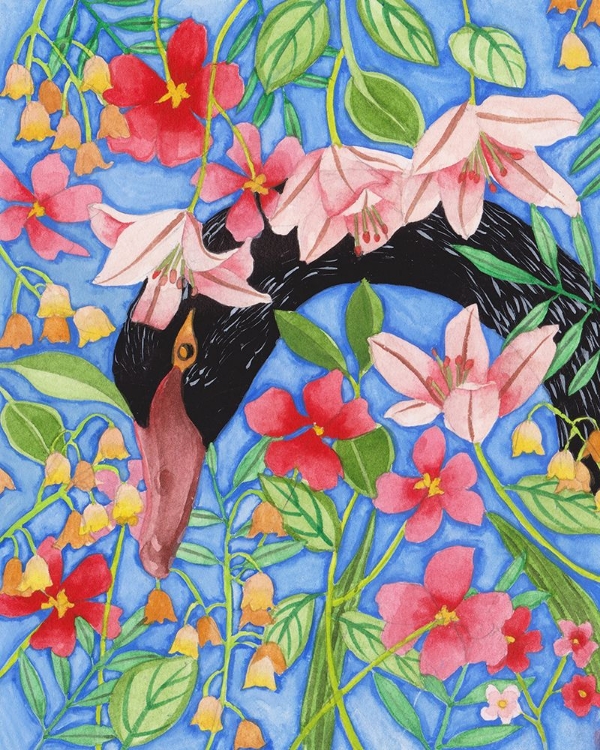 Picture of BLACK SWAN II