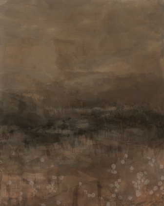 Picture of SHADOW VISTA II