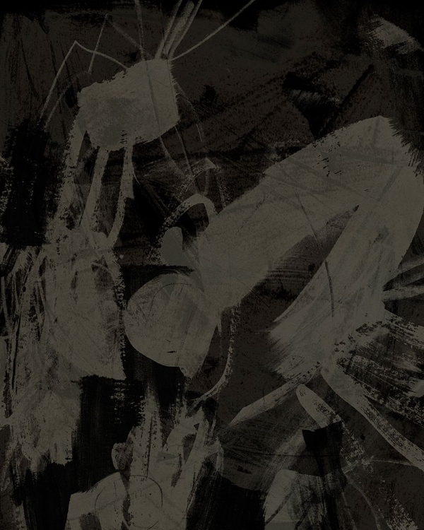 Picture of RAIN SHADOW II