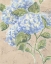Picture of VINTAGE HYDRANGEA FRESCO I