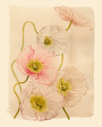Picture of VINTAGE SUMMER POPPIES I