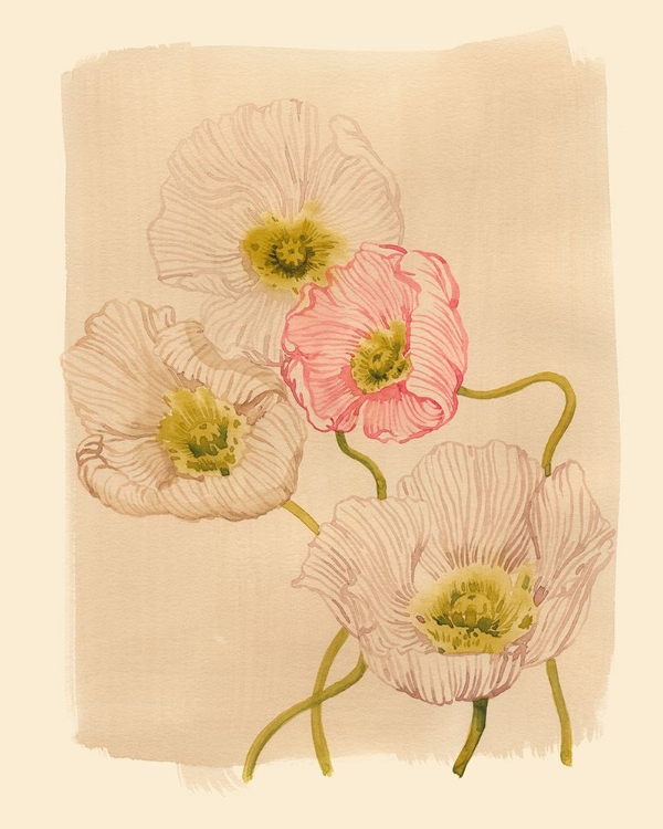 Picture of VINTAGE SUMMER POPPIES II