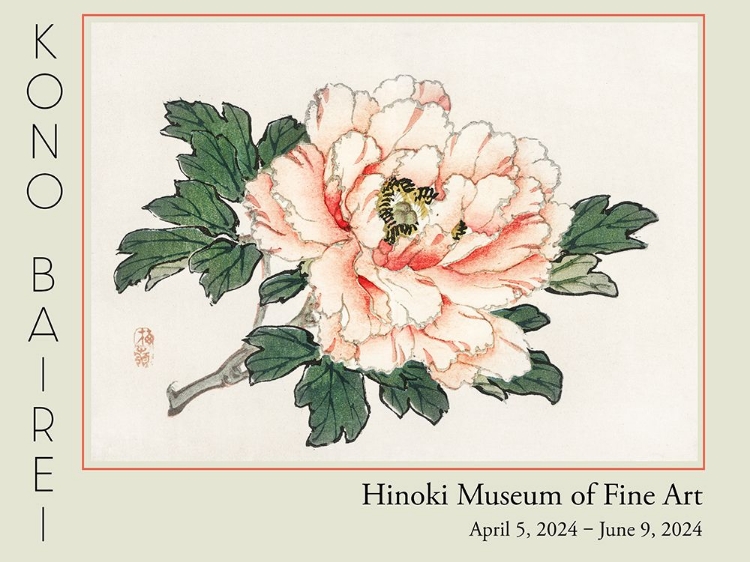 Picture of BAREI EXHIBITION FLOWERS I