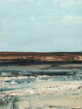 Picture of RICH COASTLINE I