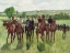 Picture of DEGAS THE RACES V