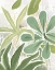 Picture of TROPICAL GRAFFITI II