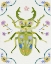 Picture of SMALL NATURE I