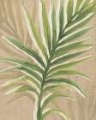 Picture of BURLAP PALM FROND I