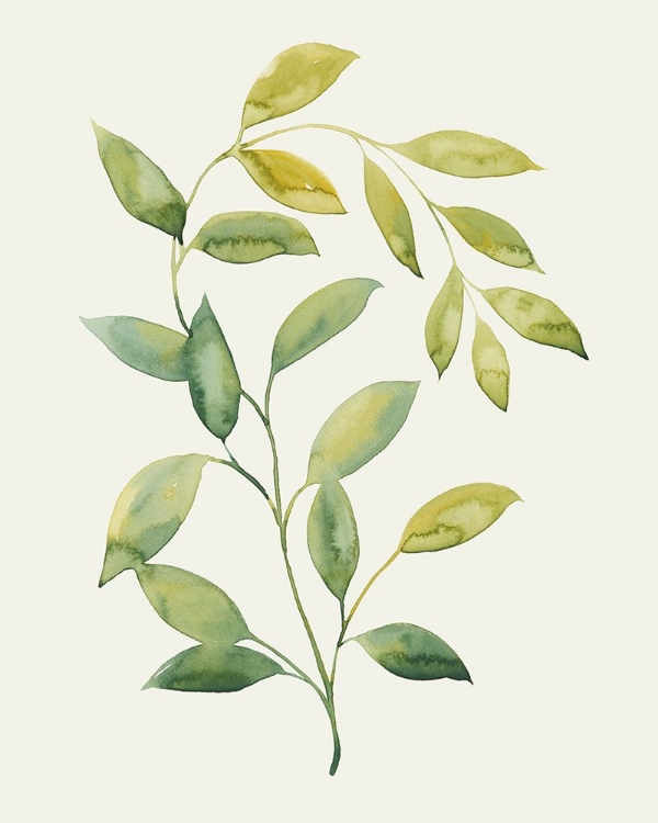 Picture of WILTED VINE I