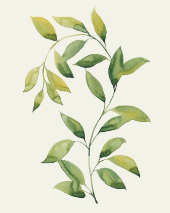 Picture of WILTED VINE II