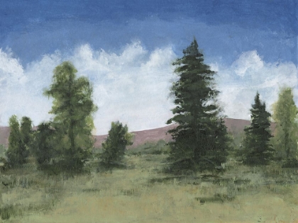 Picture of ALPINE MEADOW RIDGE II