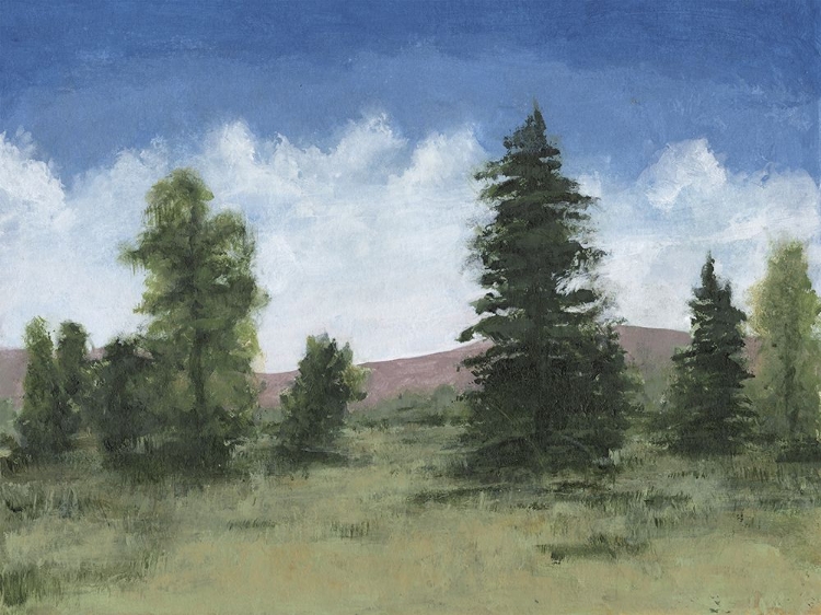 Picture of ALPINE MEADOW RIDGE II