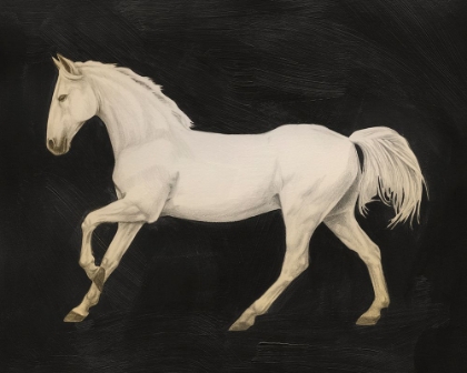 Picture of SUNSET MUSTANG II