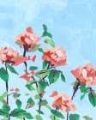 Picture of ROSE GARDEN SKY I