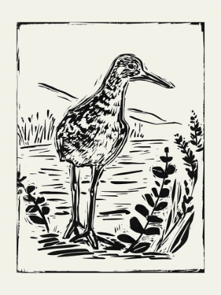 Picture of LINOCUT STYLE SEABIRD II