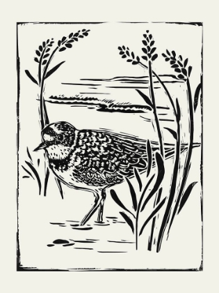 Picture of LINOCUT STYLE SEABIRD IV