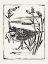 Picture of LINOCUT STYLE SEABIRD IV
