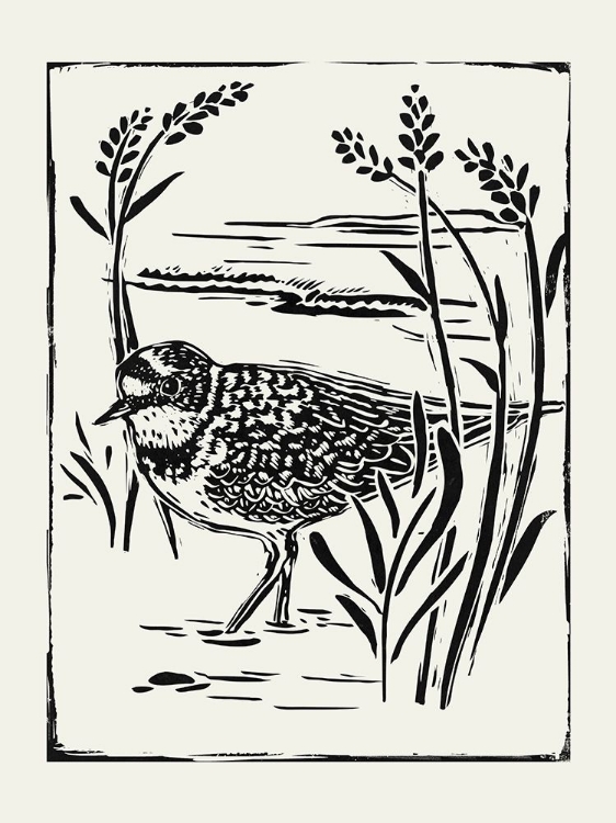 Picture of LINOCUT STYLE SEABIRD IV