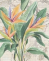 Picture of MAP FLORA I