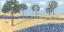 Picture of PRAIRIE FENCE LINE III