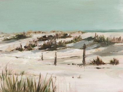 Picture of COOL DUNES I