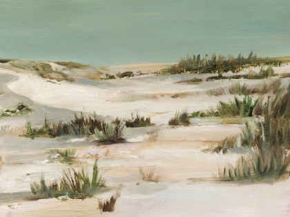 Picture of COOL DUNES II