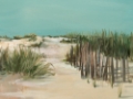 Picture of WARM DUNES I