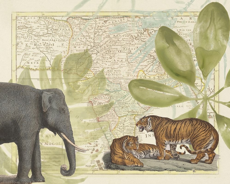 Picture of SOPHISTICATED SAFARI MAP II