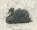 Picture of WHITE SWAN/BLACK SWAN I