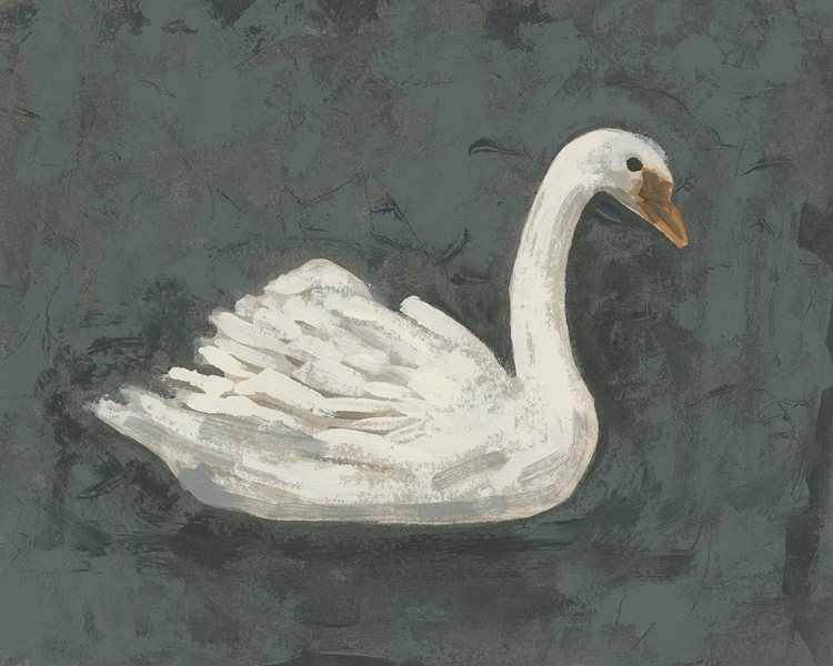 Picture of WHITE SWAN/BLACK SWAN II