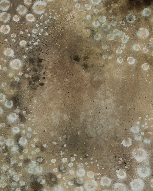 Picture of INKY SAFARI I