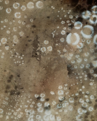 Picture of INKY SAFARI II