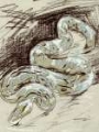 Picture of PYTHON I