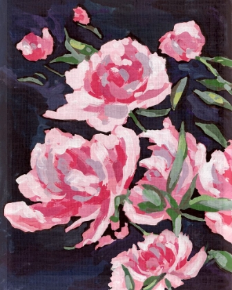 Picture of MEER ROSA II