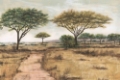 Picture of SAVANNA PLAIN I