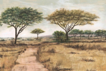 Picture of SAVANNA PLAIN I