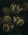 Picture of GILDED TULIPS I