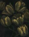 Picture of GILDED TULIPS II